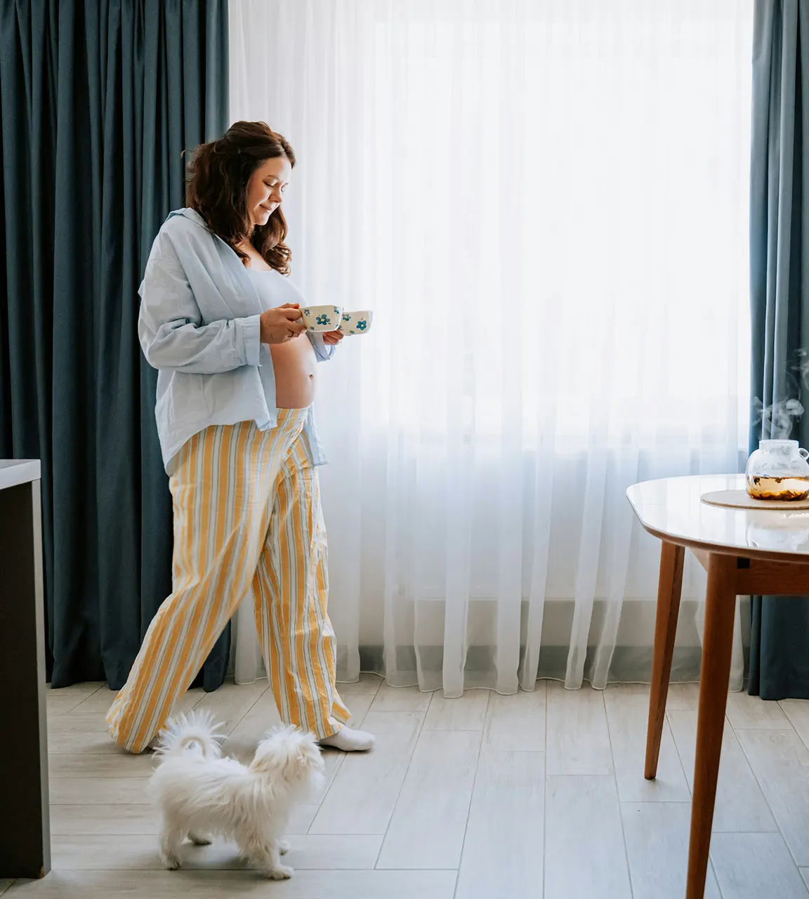 Gilbert Dog Grooming